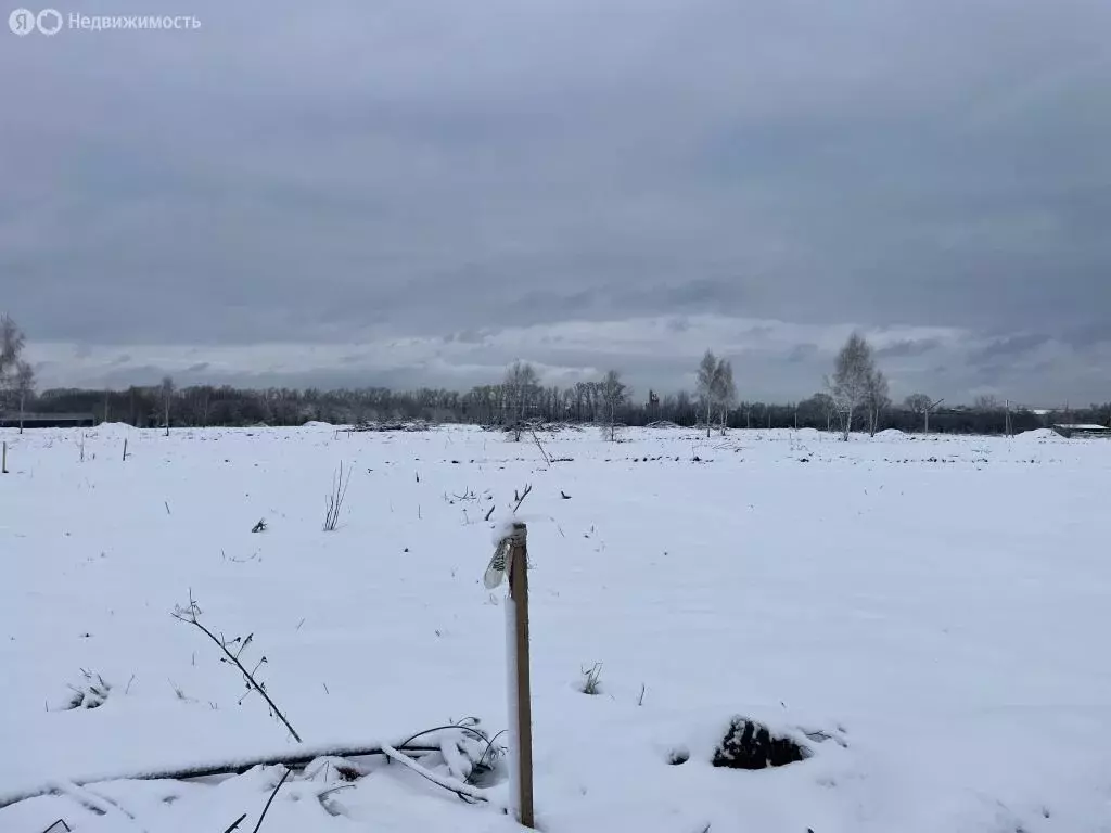 Участок в Тверская область, Калининский муниципальный округ, деревня ... - Фото 2