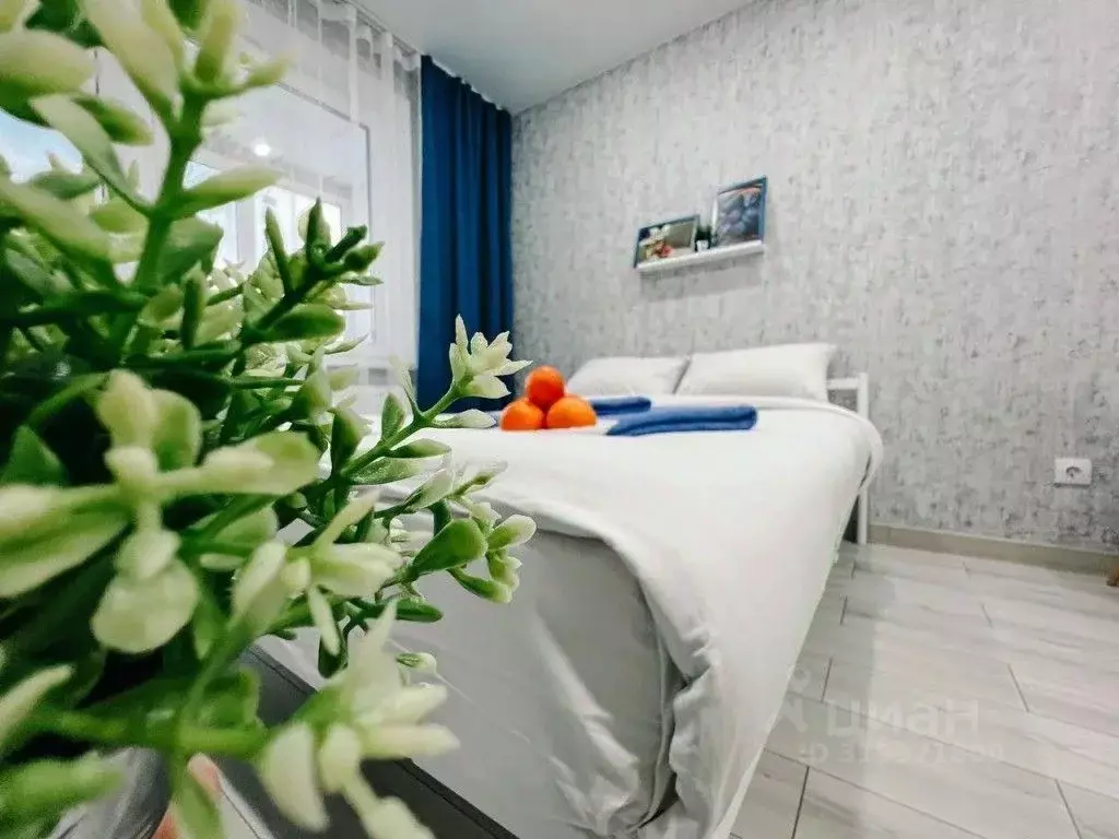 1-к кв. Кировская область, Киров ул. Потребкооперации, 46 (28.0 м) - Фото 0