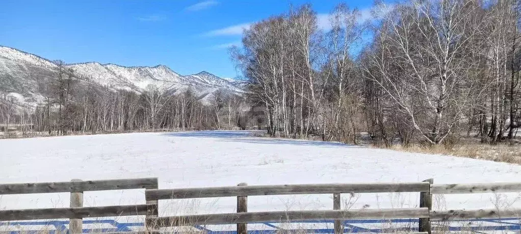 Участок в Алтай, Усть-Канский район, с. Усть-Кан  (560.0 сот.) - Фото 1