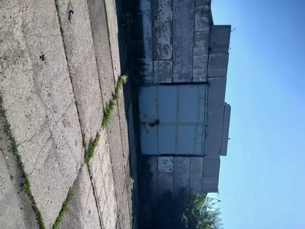 Помещение свободного назначения в Омская область, Таврический район, ... - Фото 1