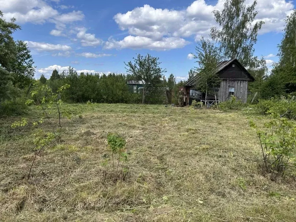 Участок в Санкт-Петербург, Санкт-Петербург, Петергоф дор. Сашинская ... - Фото 1