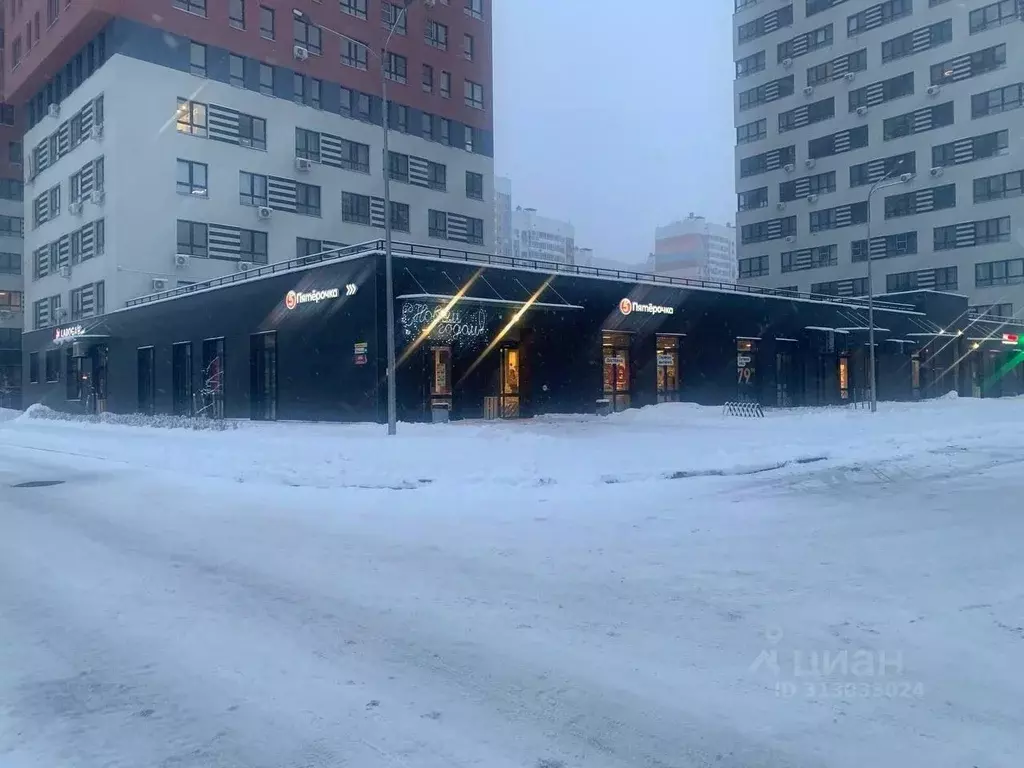 Помещение свободного назначения в Нижегородская область, Нижний ... - Фото 1