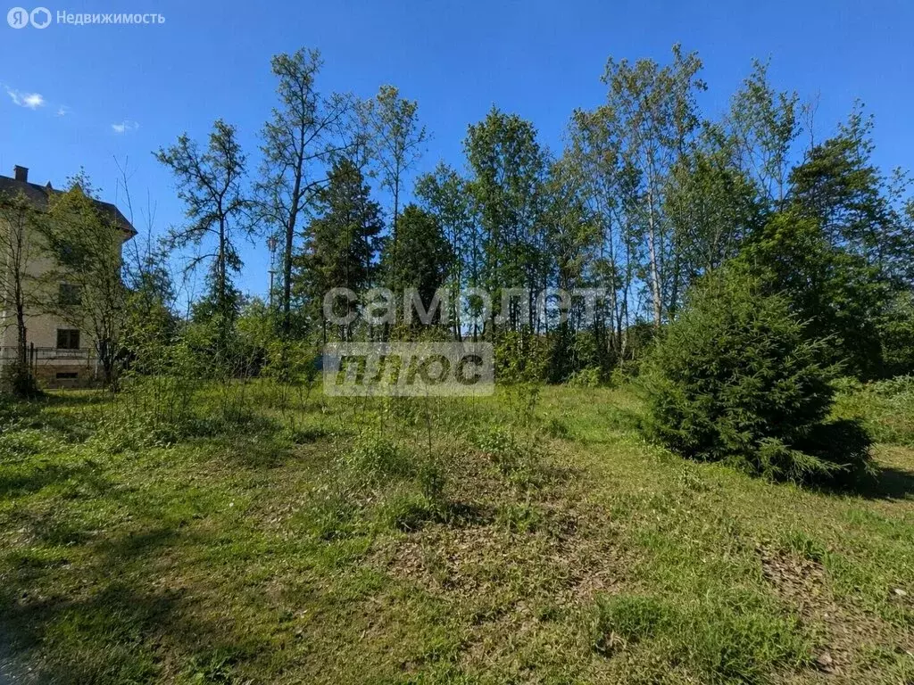Участок в посёлок городского типа Снегири, улица Панфилова, 14 (55 м) - Фото 2