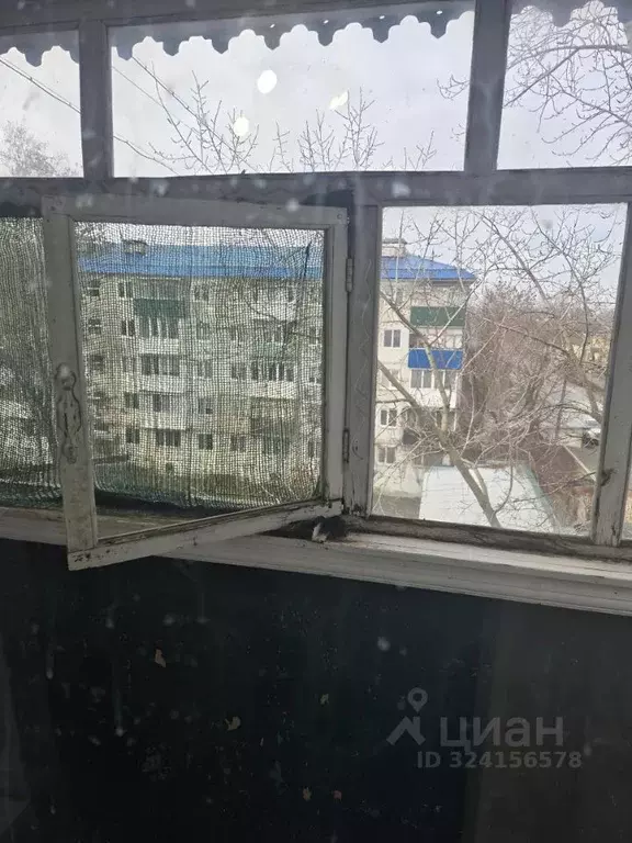 1-к кв. Саратовская область, Петровск ул. Куйбышева, 2В (32.0 м) - Фото 2