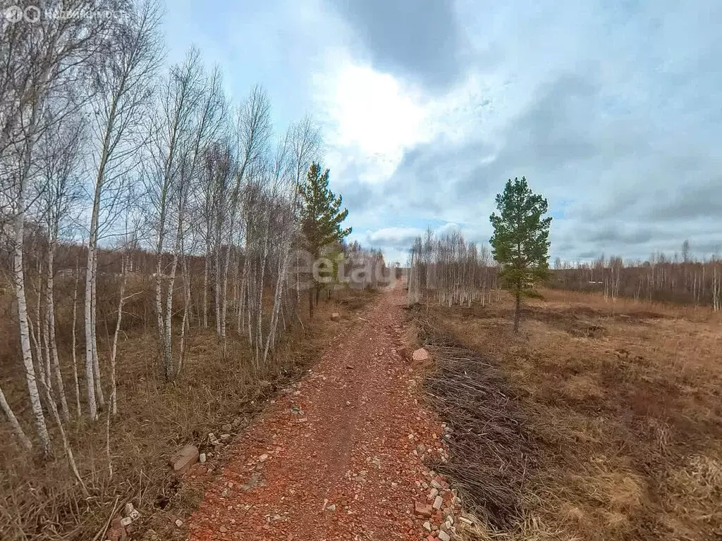 Участок в Нижнетавдинский район, ТСН Строитель, Каштановая улица (10 ... - Фото 1