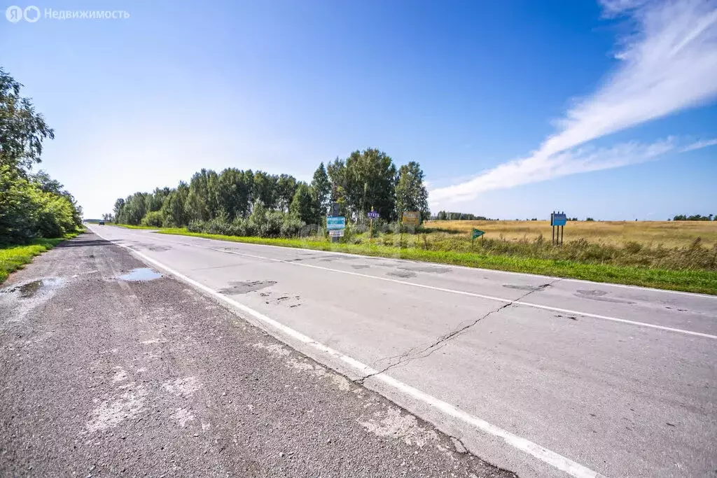 Участок в Сузунский район, Маюровский сельсовет (5000 м) - Фото 0