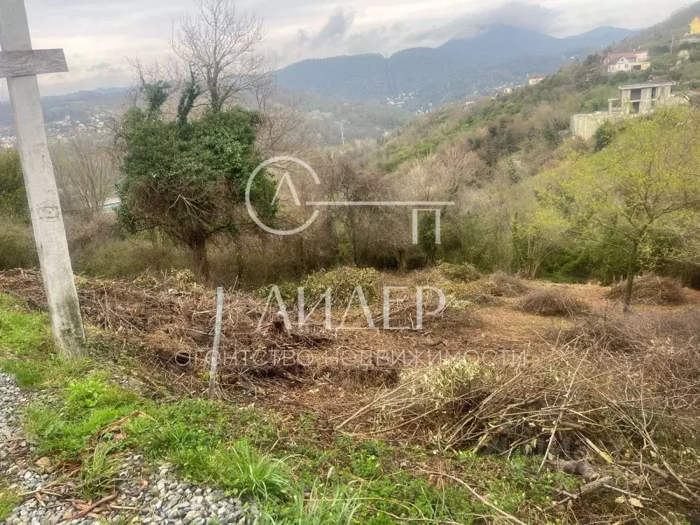 Участок в Краснодарский край, Сочи Бытха мкр, ул. Краевско-Греческая ... - Фото 2