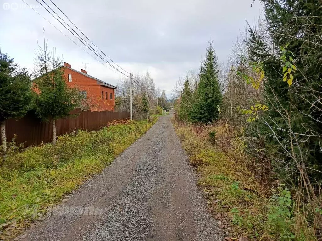 Участок в Скоротово, 46 (15 м) - Фото 2