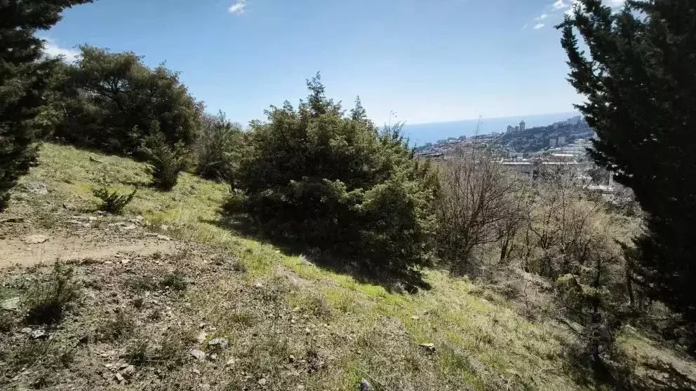 Участок в Крым, Ялта  (7.0 сот.) - Фото 1