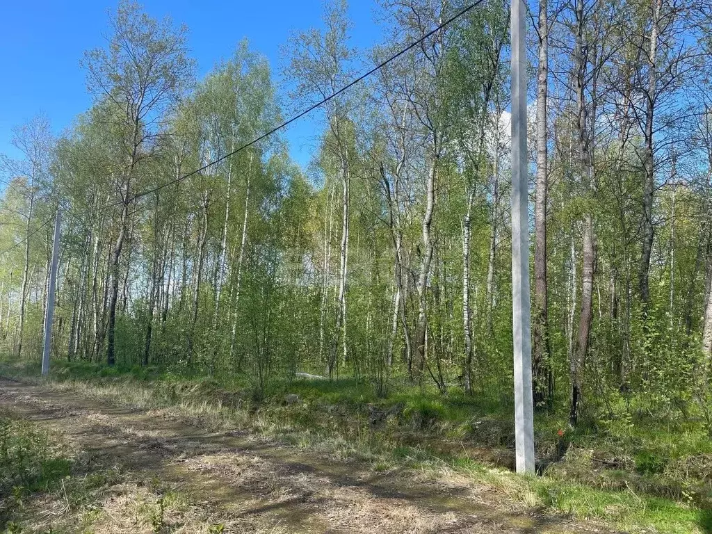 Участок в Московская область, Раменский городской округ, Загородный ... - Фото 1