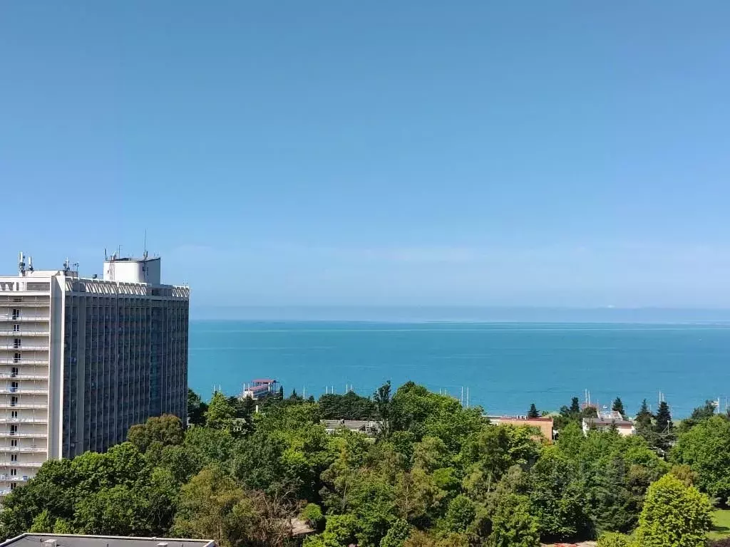 2-к кв. Краснодарский край, Сочи ул. Ленина, 219/6Б (50.0 м) - Фото 1