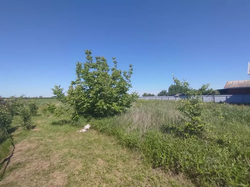 Участок в Краснодарский край, Тихорецк Новорождественская ул., 28 (7.4 ... - Фото 0
