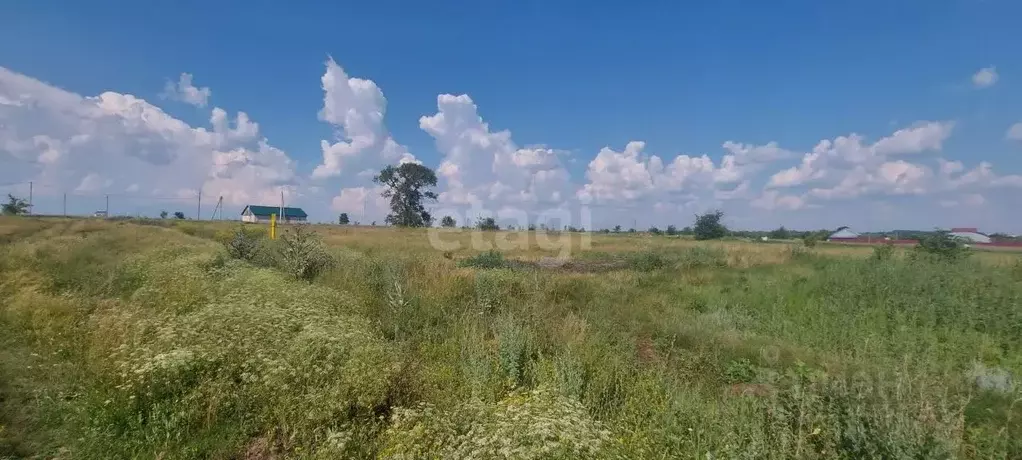 Участок в Воронежская область, Борисоглебский городской округ, с. ... - Фото 1