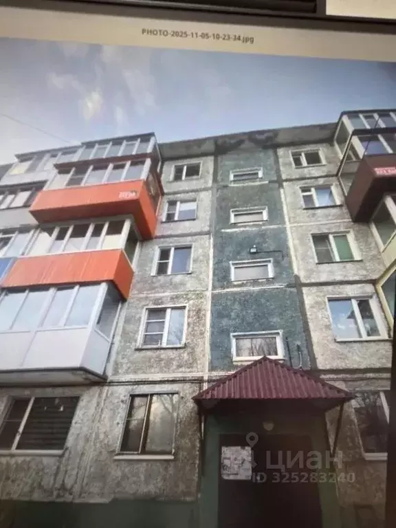 Свободной планировки кв. Камчатский край, Петропавловск-Камчатский ул. ... - Фото 2