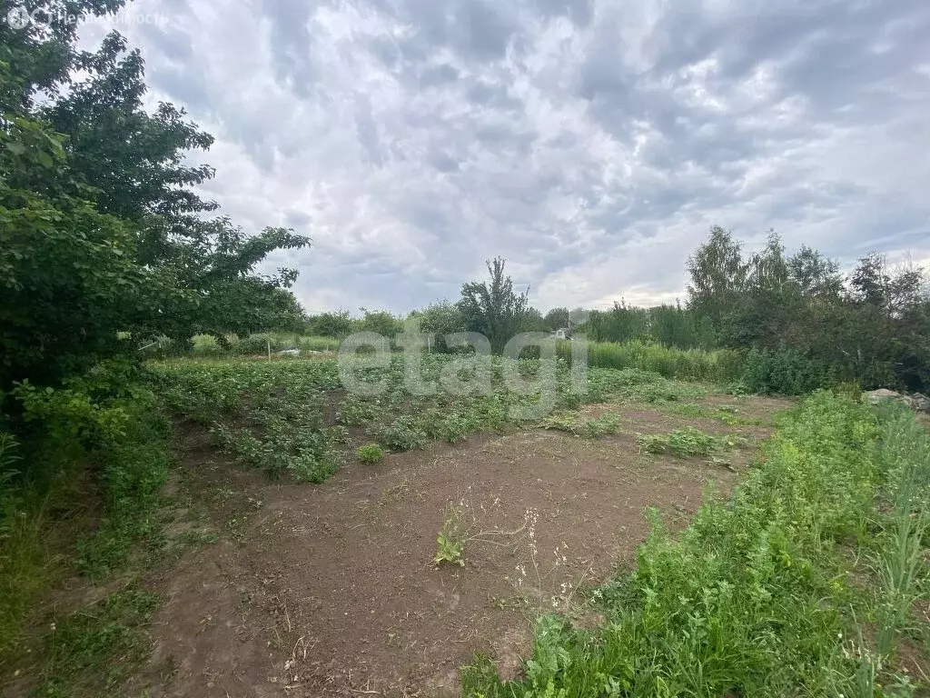 Участок в село Толмачево, СДТ Русь (5 м) - Фото 2