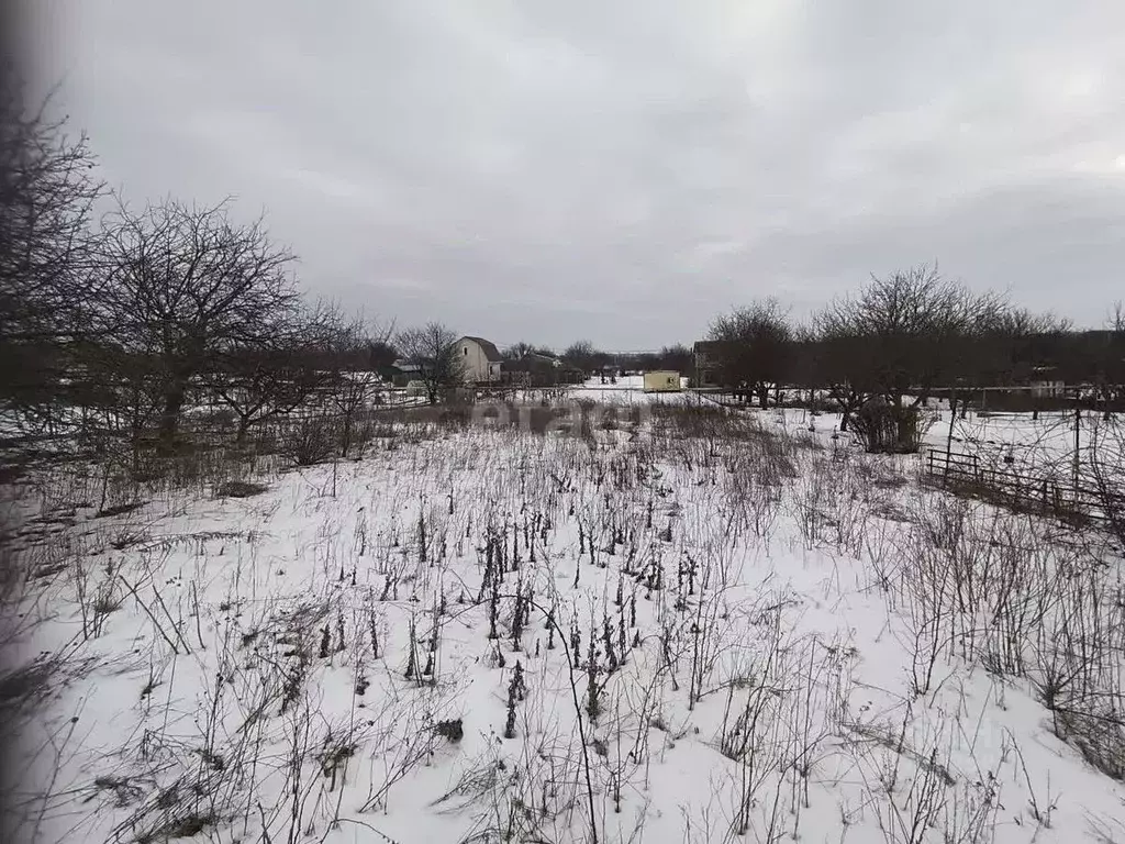 Участок в Белгородская область, Белгородский район, Головинское с/пос, ... - Фото 2