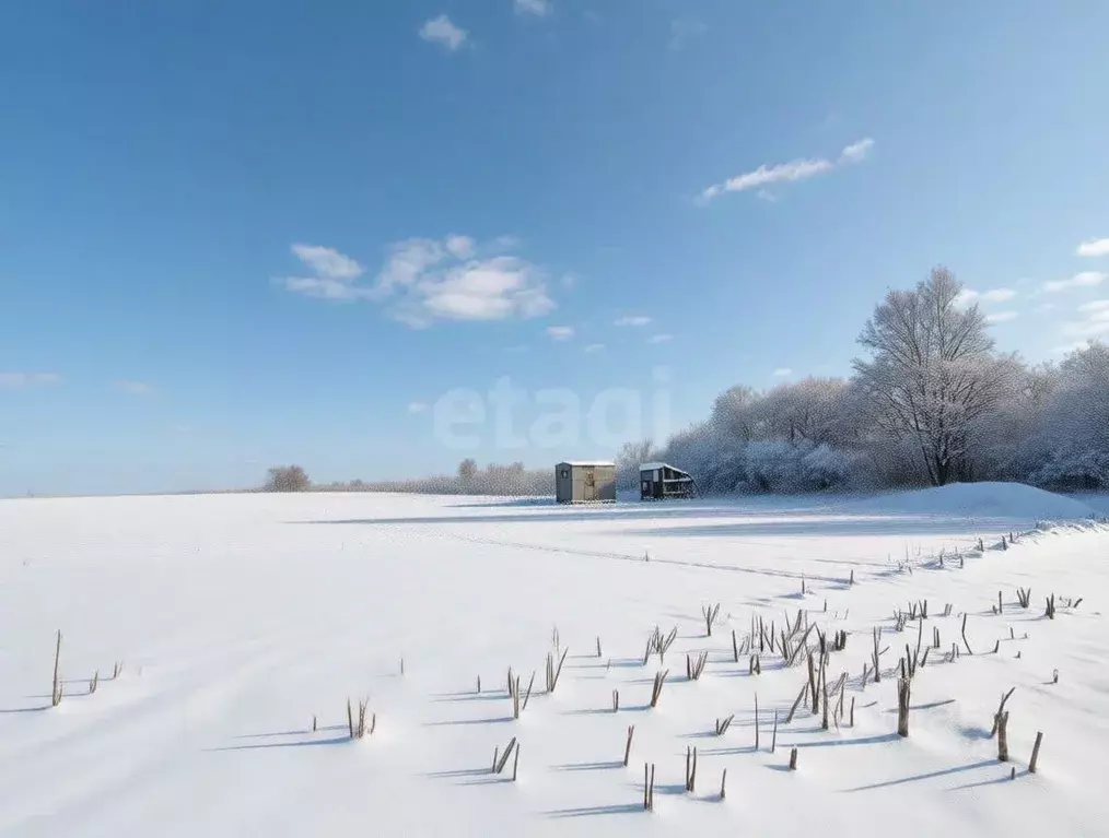 Участок в Ярославская область, Ярославский муниципальный округ, д. ... - Фото 1