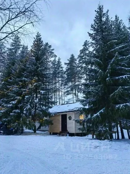 Дом в Псковская область, Псков Земельный пер., 1А (100 м) - Фото 1