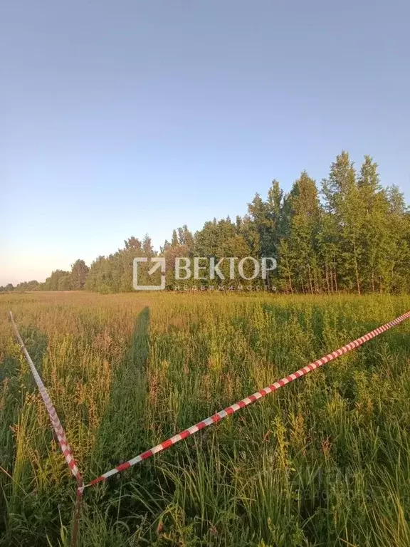Участок в Костромская область, Кострома проезд Поколений (9.2 сот.) - Фото 2