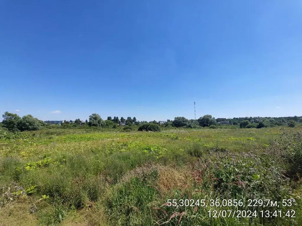 Участок в Московская область, Наро-Фоминский городской округ, д. ... - Фото 1