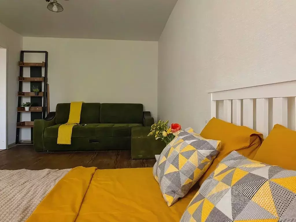 1-к кв. Рязанская область, Рязань Сенная ул., 3 (32.0 м) - Фото 2