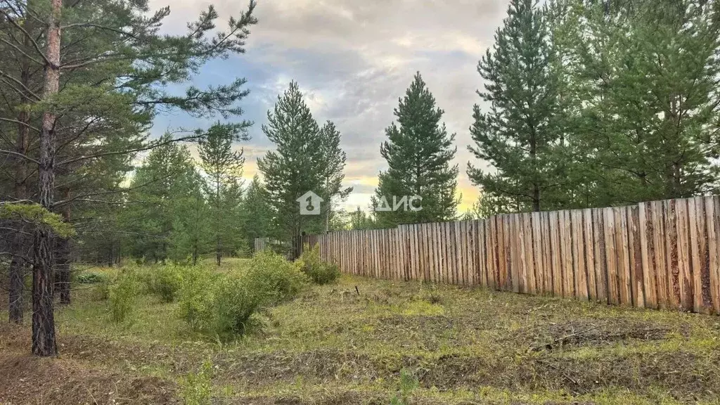 Участок в Бурятия, Тарбагатайский район, Заводское с/пос, пос. ... - Фото 1