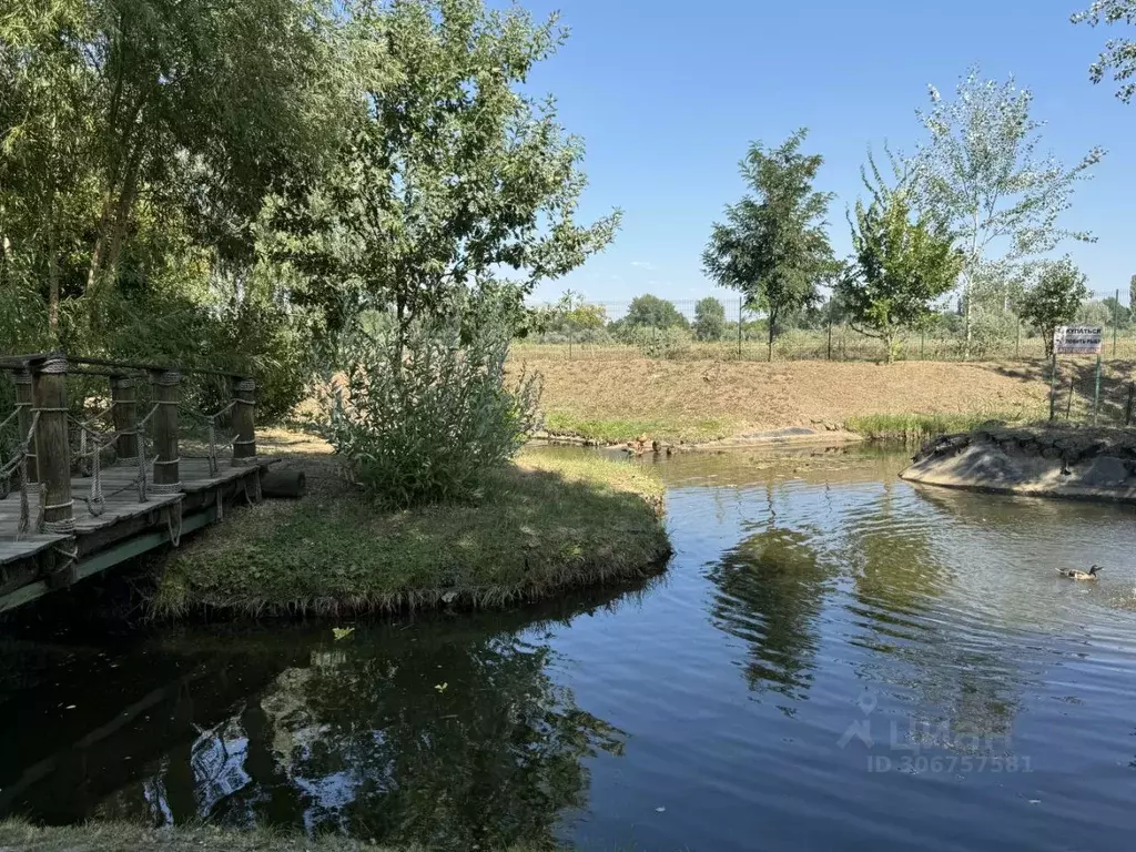 Участок в Волгоградская область, Среднеахтубинский район, Фрунзенское ... - Фото 1