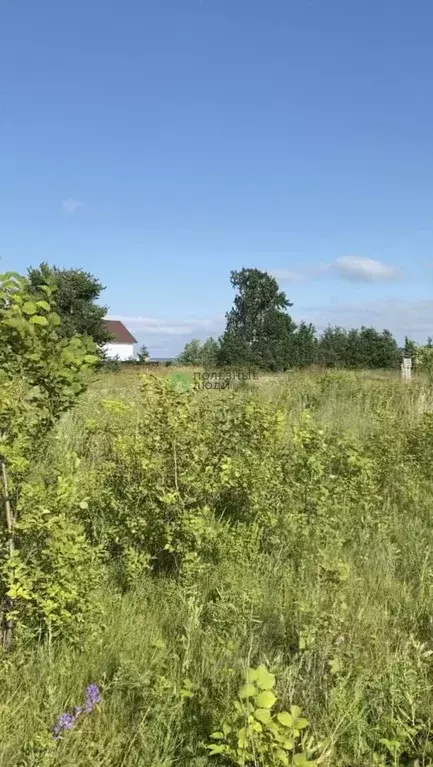 Участок в Татарстан, Тукаевский район, Калмиинское с/пос, Ясная Поляна ... - Фото 0