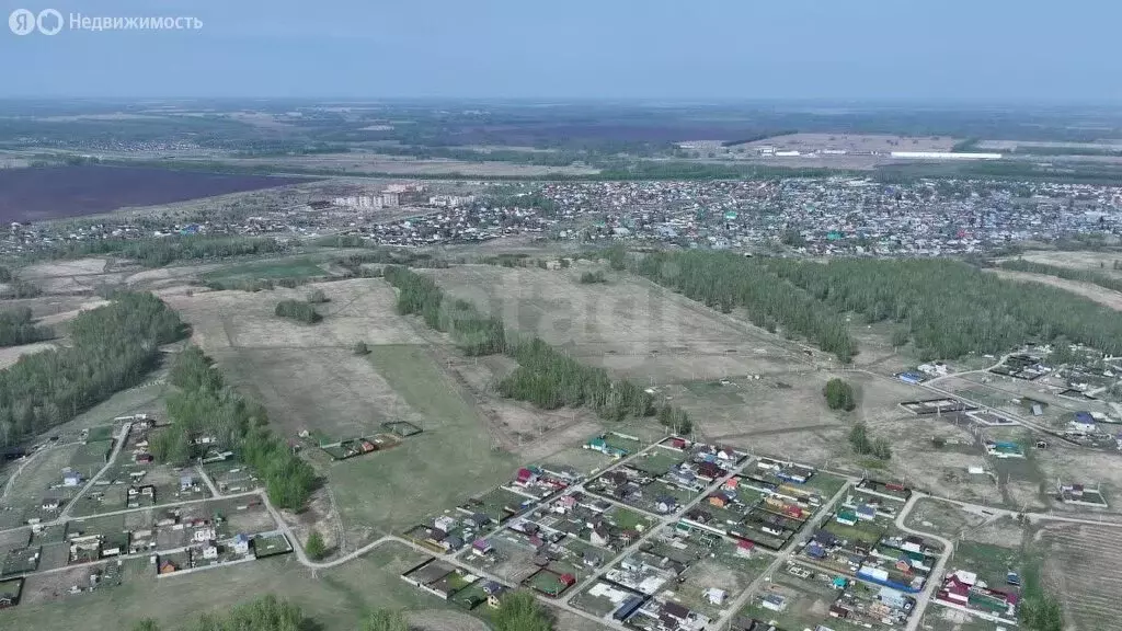 Участок в Новосибирский район, Морской сельсовет, ДНТ Усадьба (11.74 ... - Фото 0