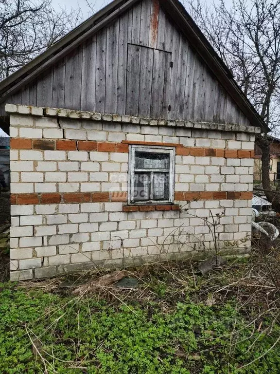 Дом в Курская область, Золотухинский район, Донской сельсовет, д. ... - Фото 1