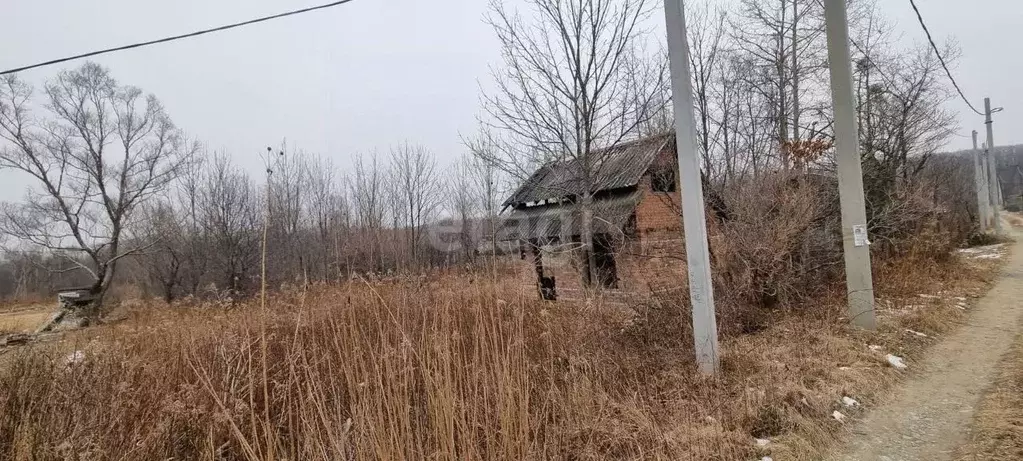 Участок в Приморский край, Надеждинский район, Зодчий № 1 СНТ 100 (6.0 ... - Фото 0
