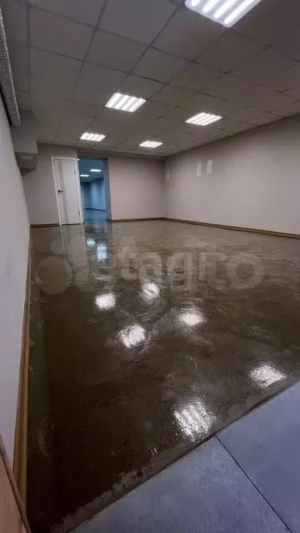 Сдам помещение свободного назначения, 135 м - Фото 1