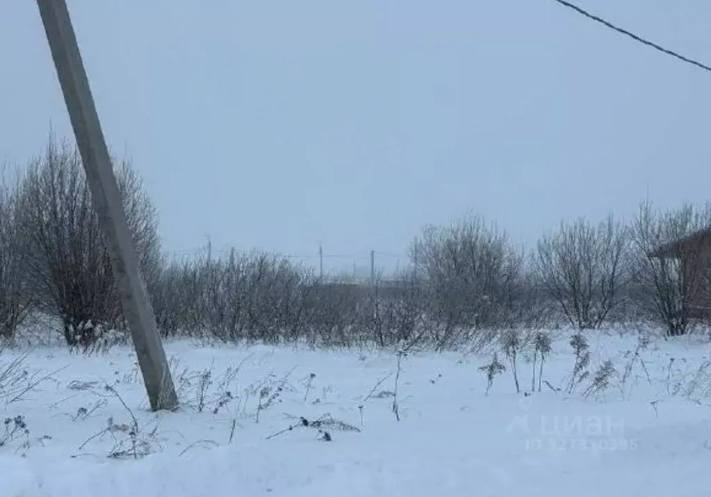 Участок в Московская область, Серпухов городской округ, с. Липицы  ... - Фото 1
