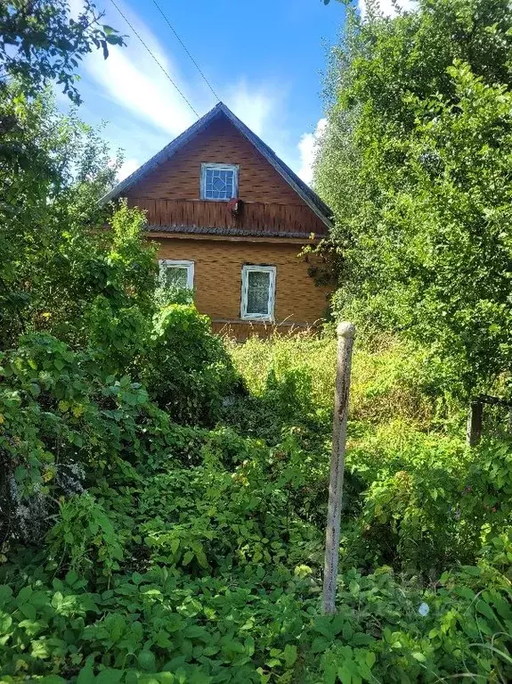 Дом в Псковская область, Гдовский район, с. Чернево ул. Чкалова (48 м) - Фото 0