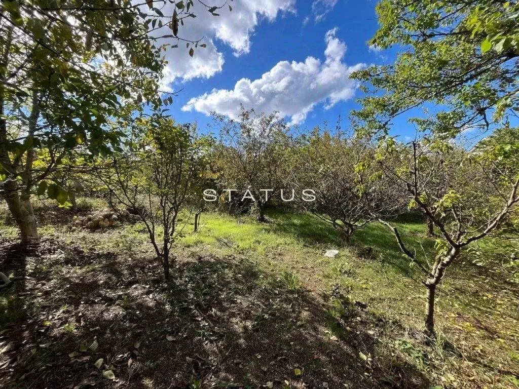 Участок в Севастополь Мрия садоводческое товарищество,  (4.0 сот.) - Фото 1