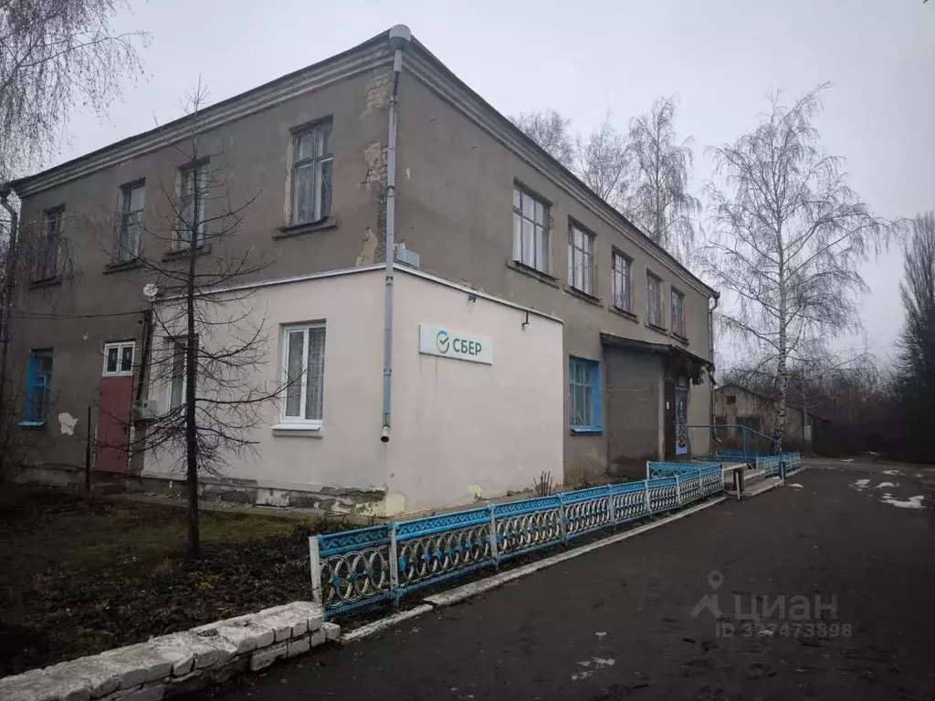 Помещение свободного назначения в Воронежская область, Репьевский ... - Фото 2