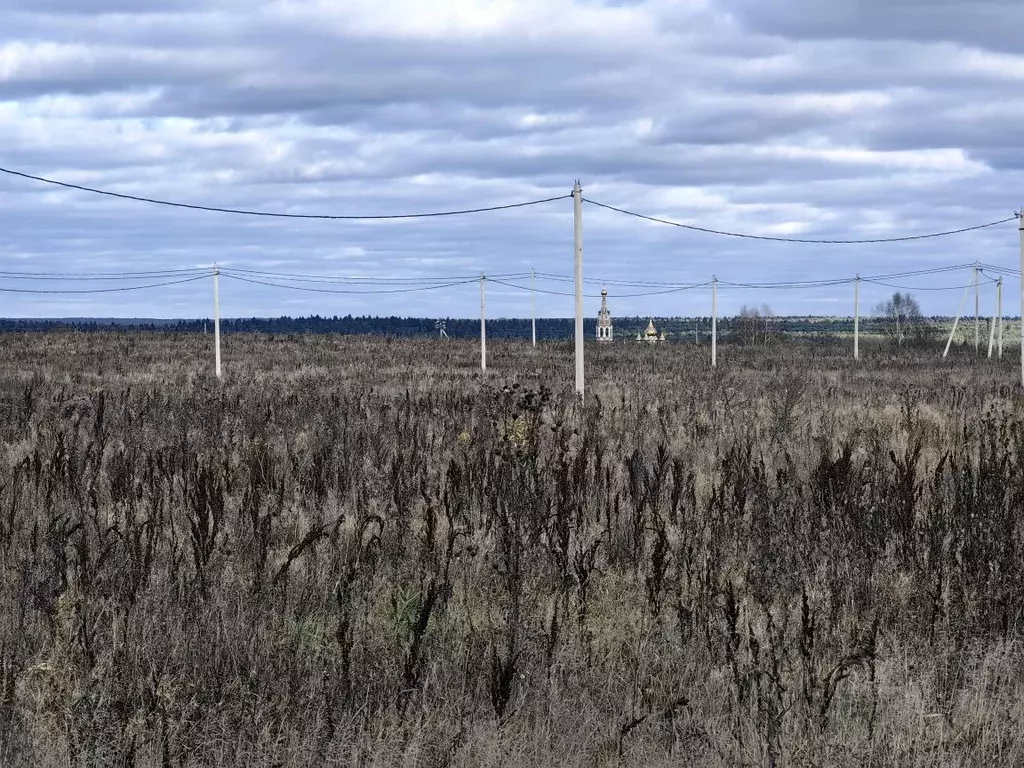 Участок в Калужская область, Боровский район, Совьяки с/пос, д. ... - Фото 2