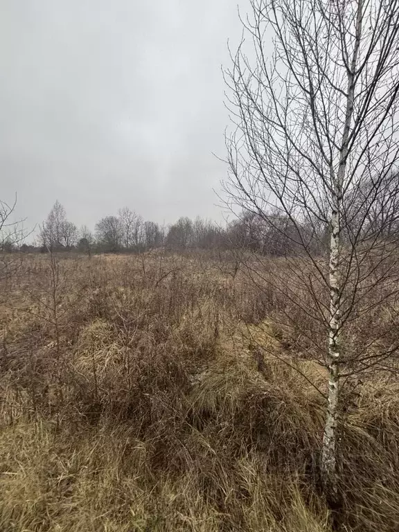 Участок в Московская область, Ступино городской округ, д. ... - Фото 1