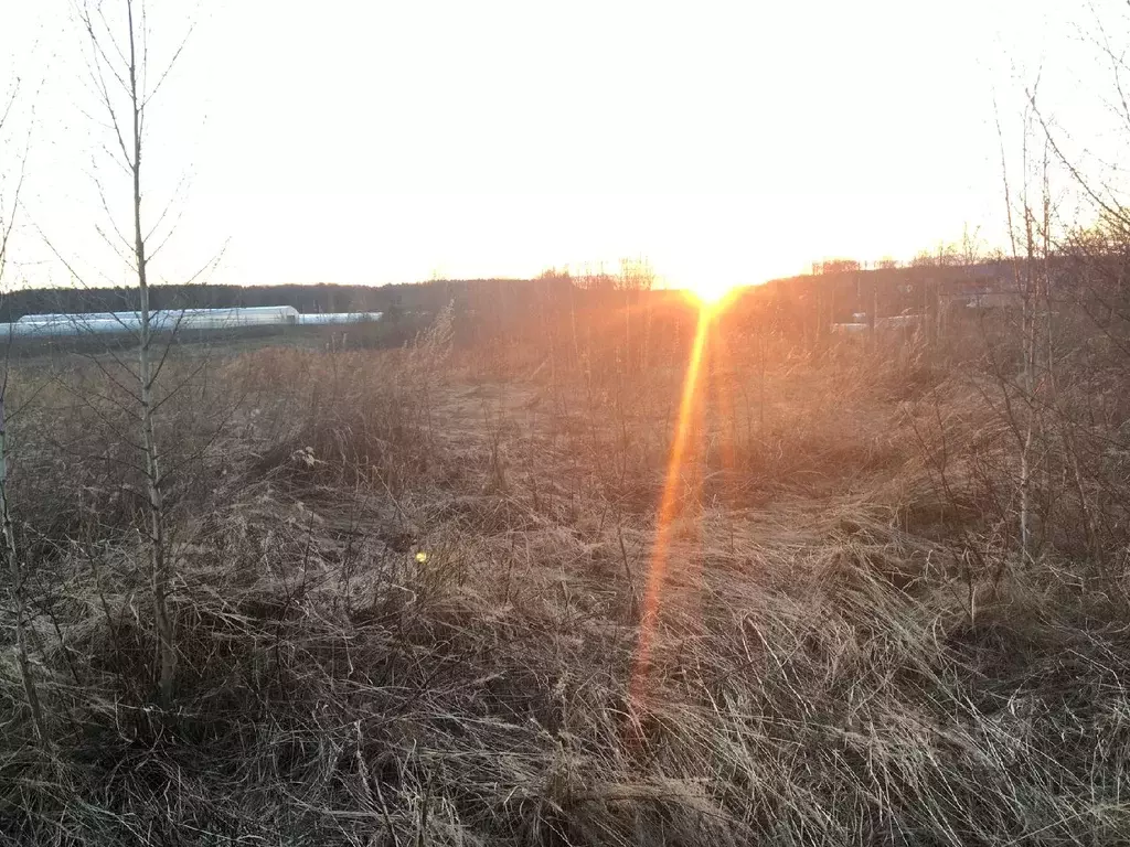 Участок в Нижегородская область, Богородский муниципальный округ, д. ... - Фото 0