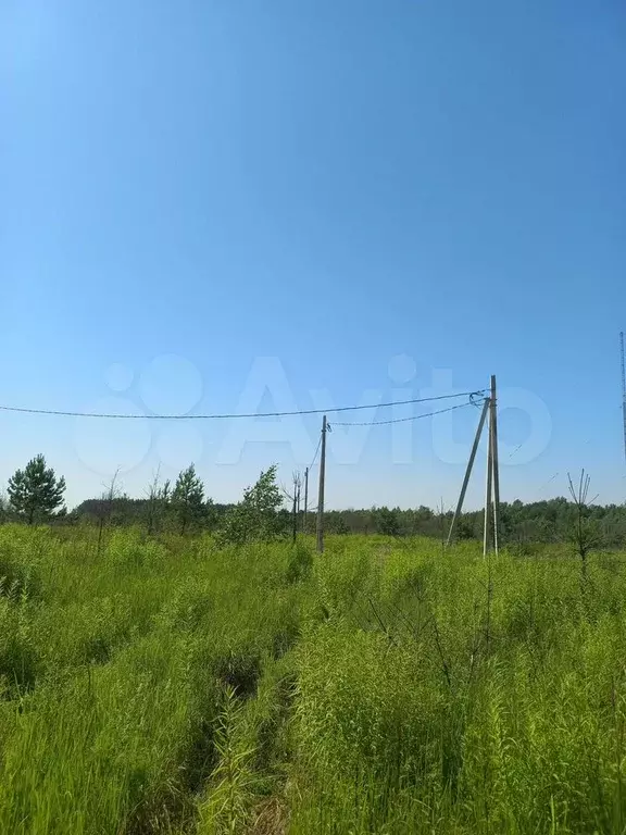 Участок 10 сот. (ИЖС) - Фото 0
