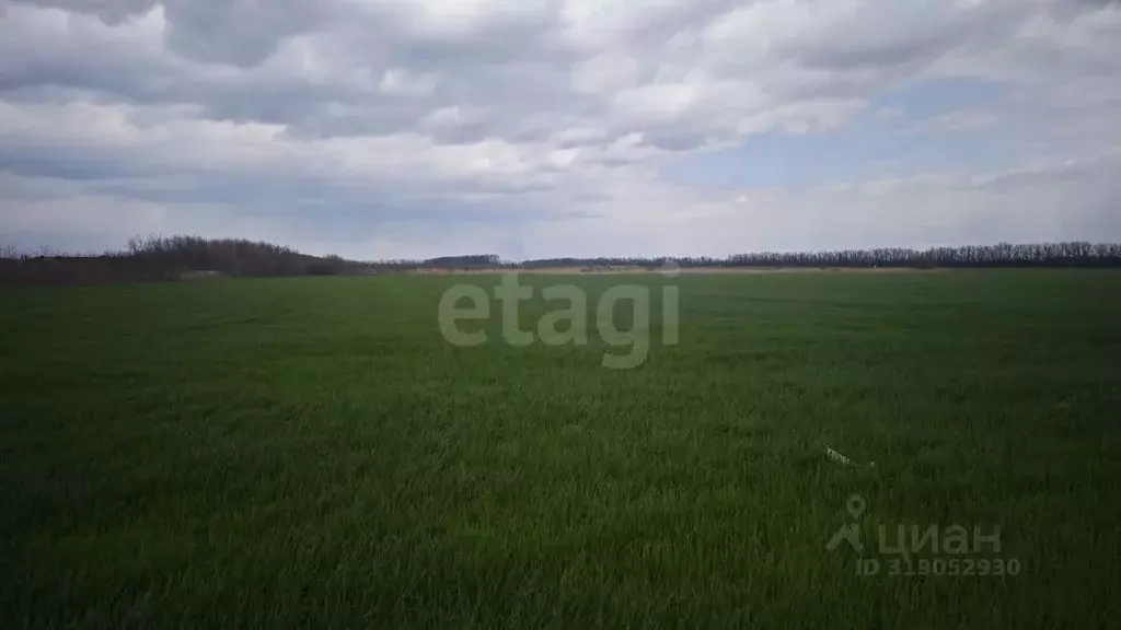 Участок в Ростовская область, Мясниковский район, Красный Крым хут. ... - Фото 0