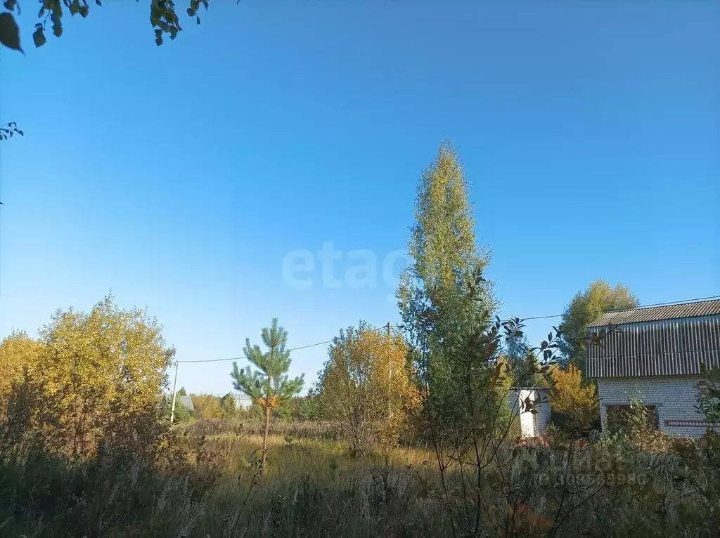 Участок в Татарстан, Верхнеуслонский район, Введенско-Слободское ... - Фото 0