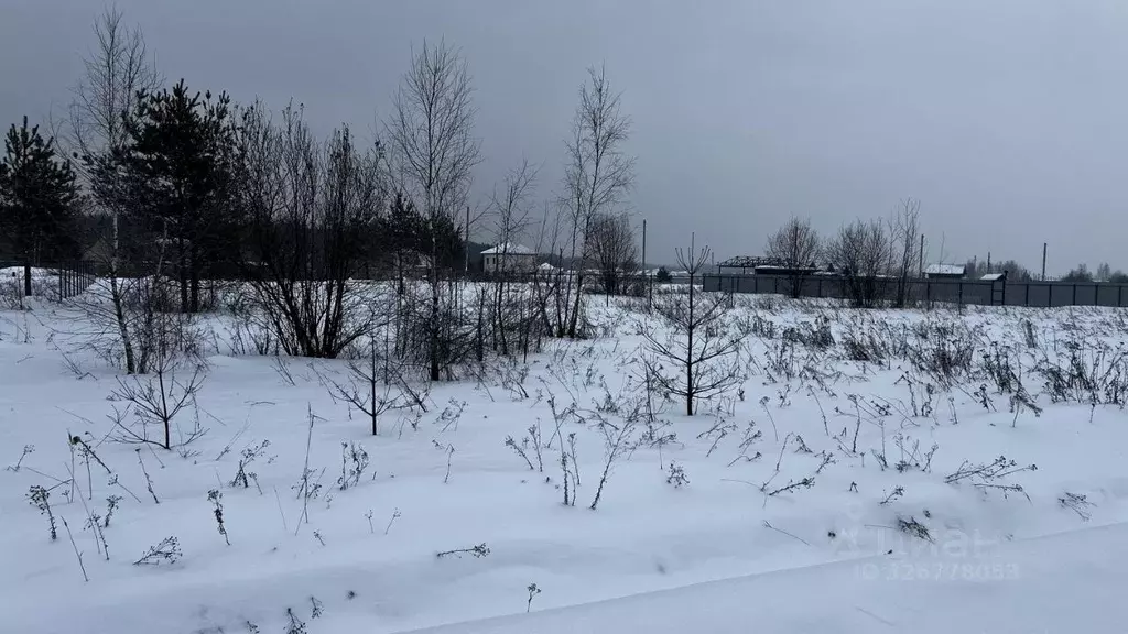 Участок в Московская область, Раменское Дергаево-2 кп, ул. Янтарная ... - Фото 2