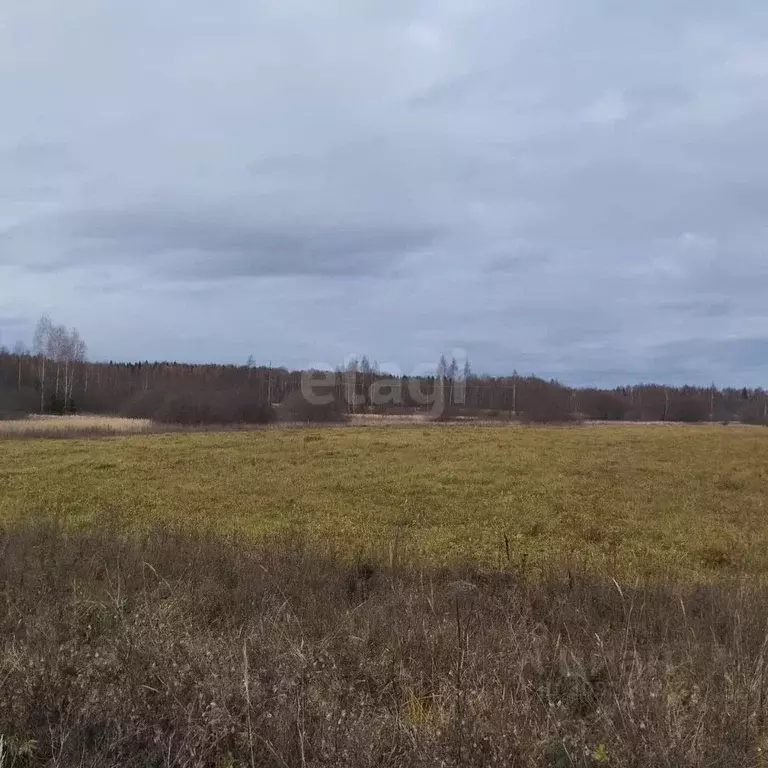 Участок в Костромская область, Красное-на-Волге городское поселение, ... - Фото 1