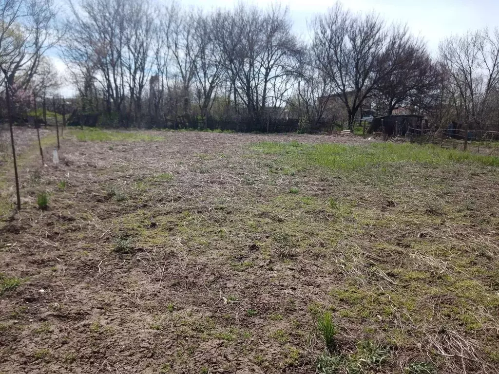 Участок в Краснодарский край, Темрюк Комсомольская ул., 8 (10.0 сот.) - Фото 2