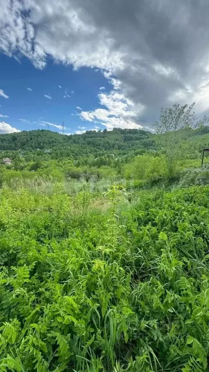 Участок в Алтай, Горно-Алтайск ул. Тенистая (7.1 сот.) - Фото 1