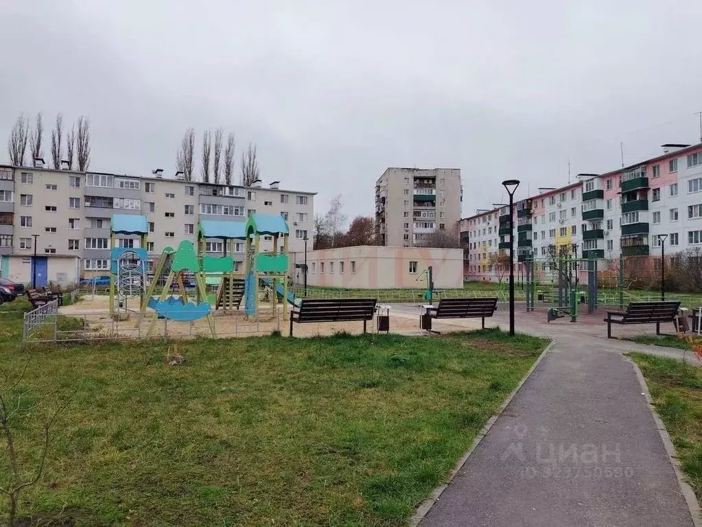 1-к кв. Белгородская область, Старый Оскол Парковый мкр, 3 (30.2 м) - Фото 2