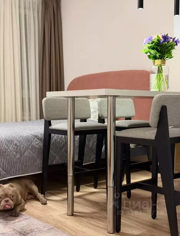 Квартира, студия, 30 м - Фото 0