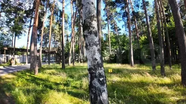 Участок 8,4 сот. (ИЖС) - Фото 1