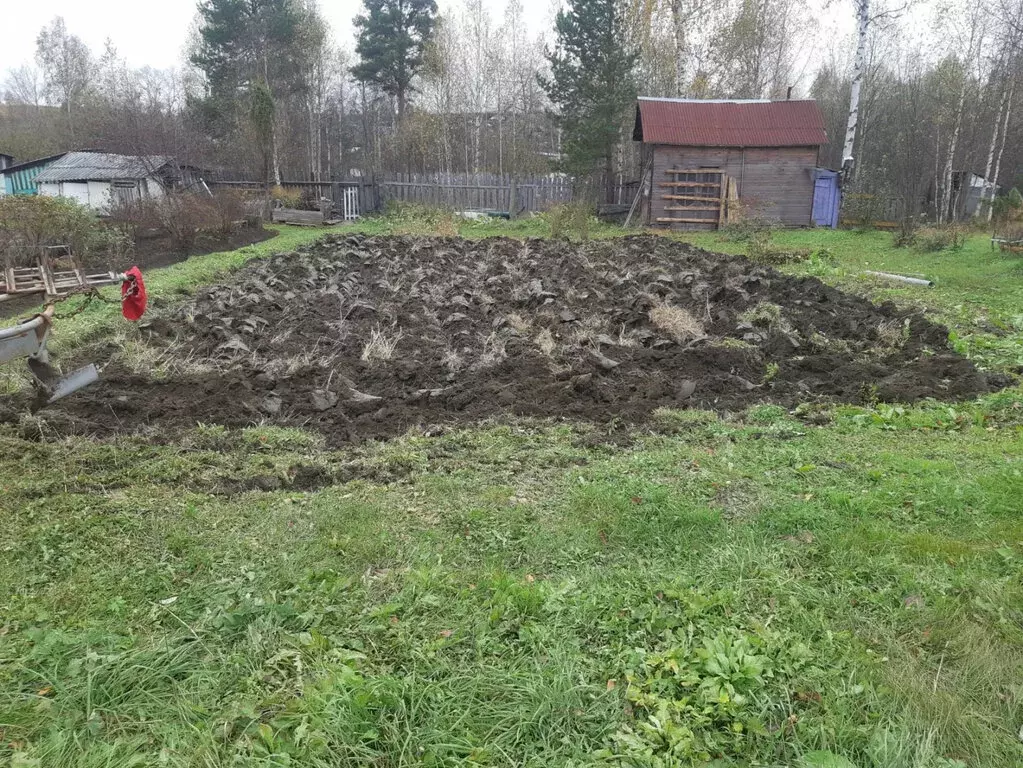 Дом в Свердловская область, Кушвинский муниципальный округ, посёлок ... - Фото 2
